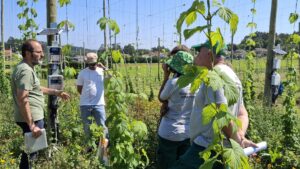 10_IReWater_20250616_visita_piloto_lúpulo_Galicia