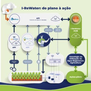 del plan a la acción