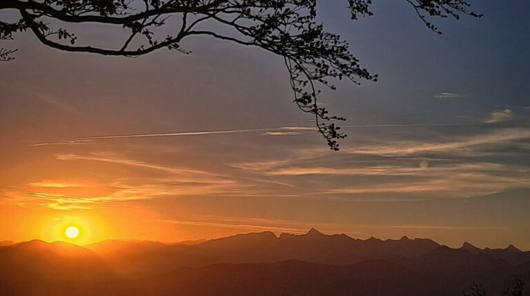 IMG_20231008_201122_467