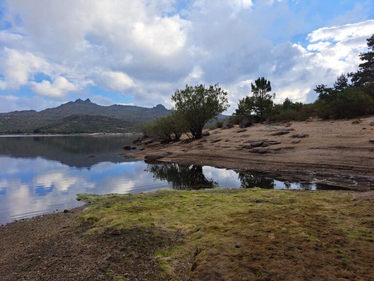 WhatsApp Image 2024-09-20 at 21.20.25