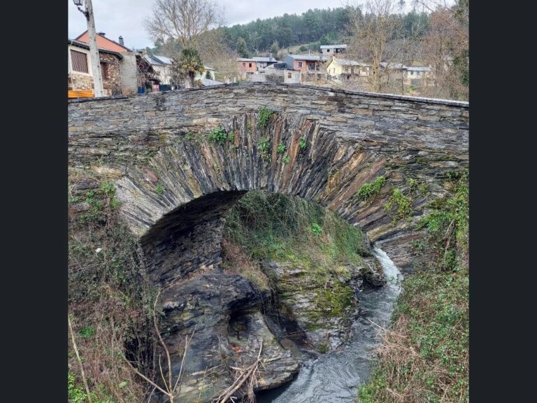 WhatsApp Image 2025-02-17 at 09.34.46