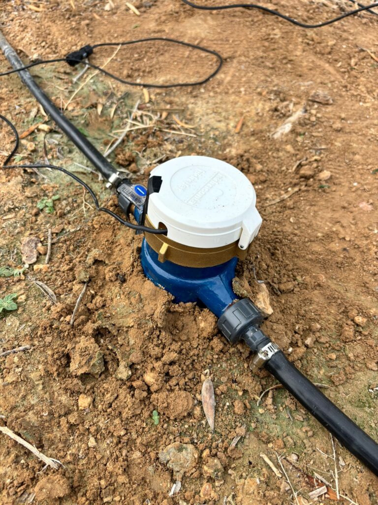 Piloto España Montalbán 2