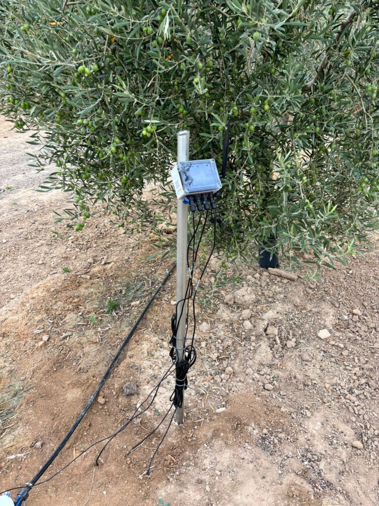 Piloto España Montalbán 3