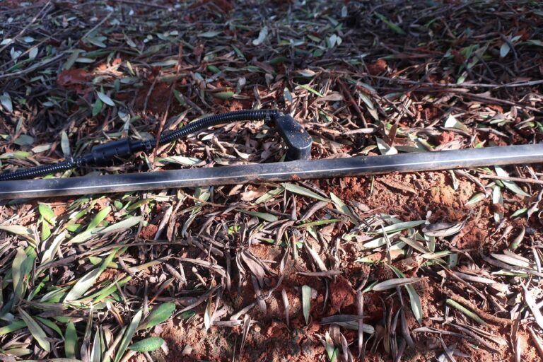 Piloto Portugal sonda