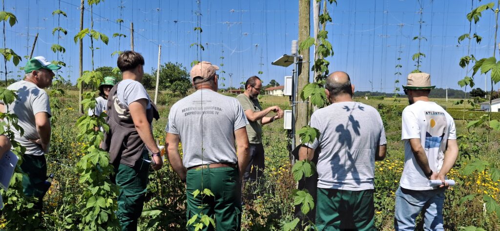 Jornada puertas abiertas y sensibilización piloto lúpulo Galicia