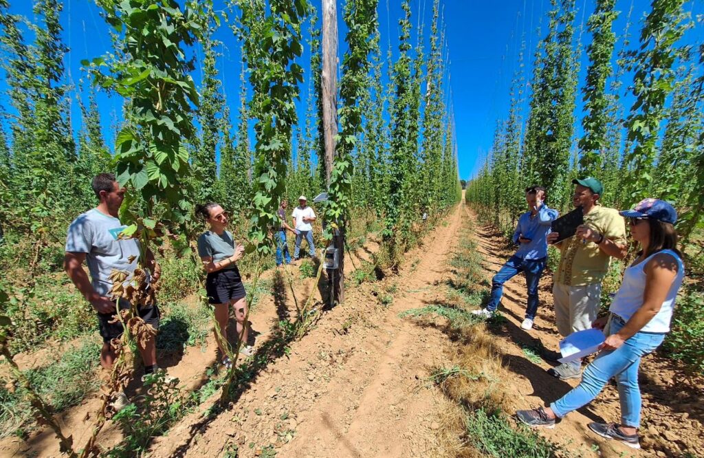 Jornada de sensibilización y puertas abiertas en Taizé-Aizie