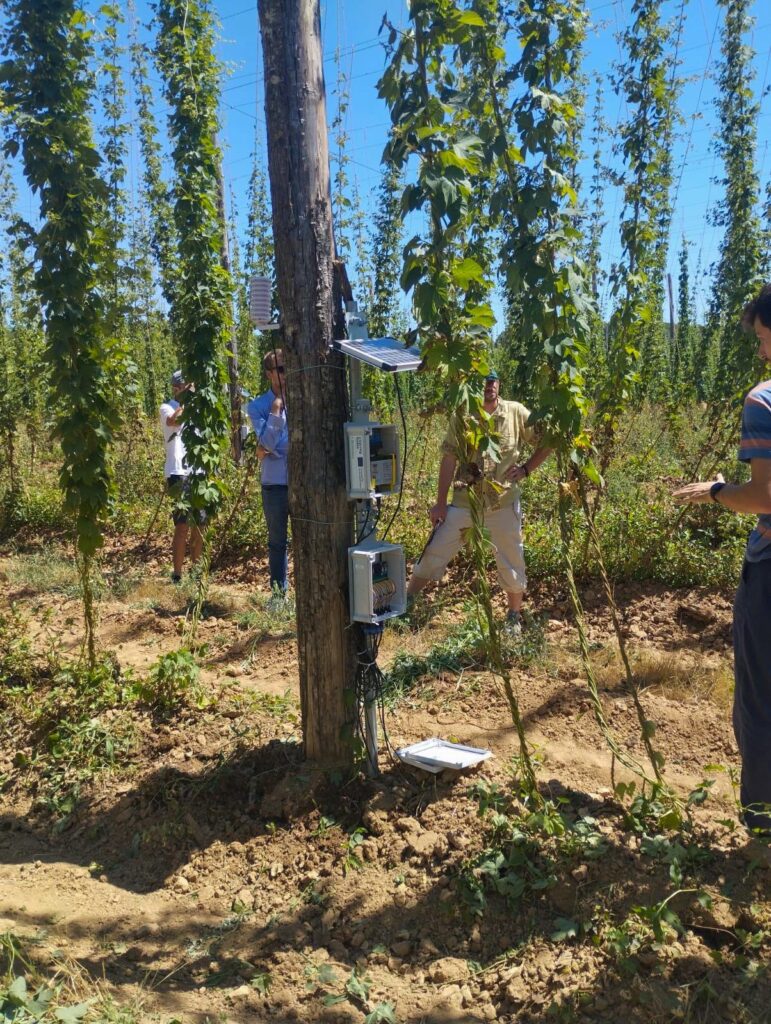 Jornada de sensibilización y puertas abiertas en Taizé-Aizie
