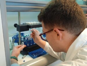 concentración con nitrógeno de mostos