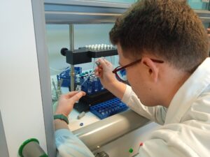 Concentración con nitrógeno de mostos