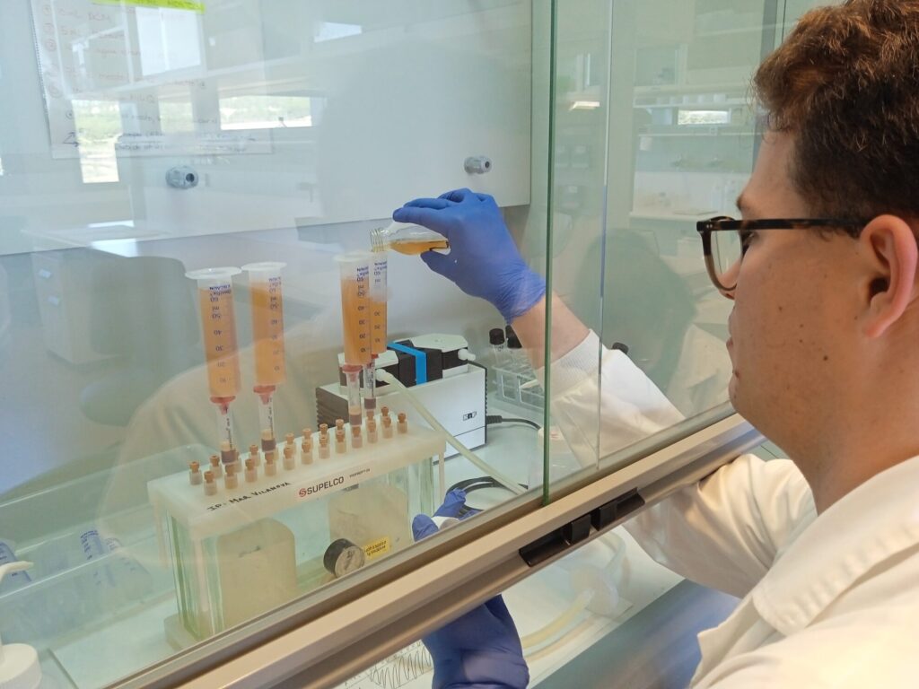 Procesado de mostos en cartuchos