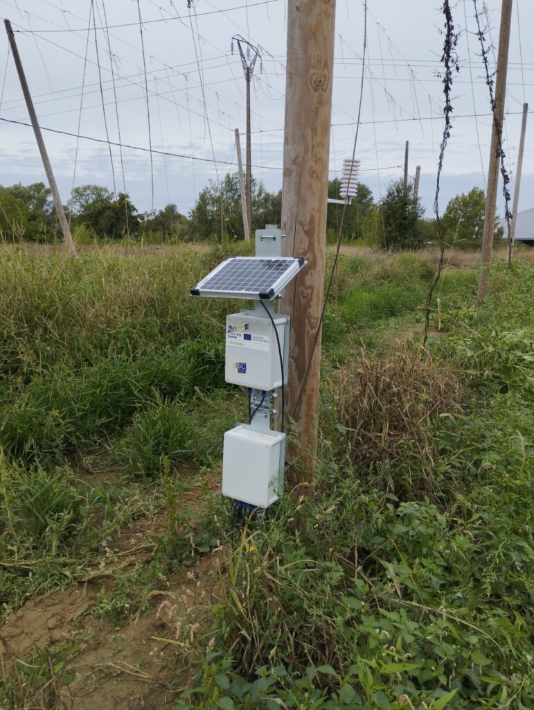 Cosecha de lúpulo Lot-et-Garonne 2025