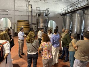 Bodegas del Rosario- Bullas