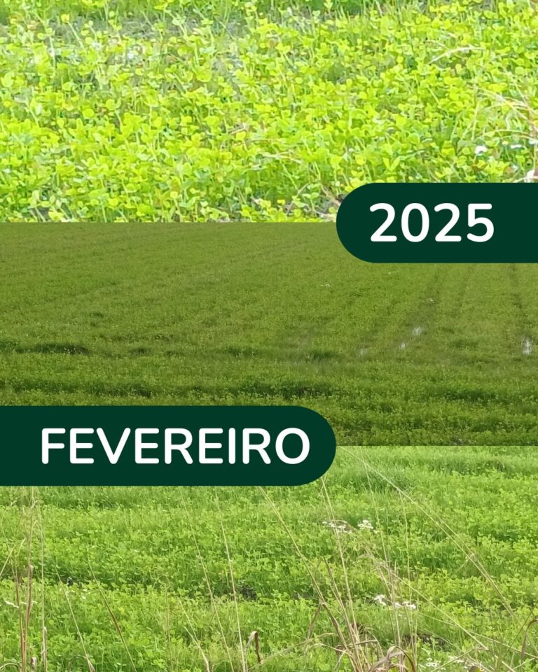 fev