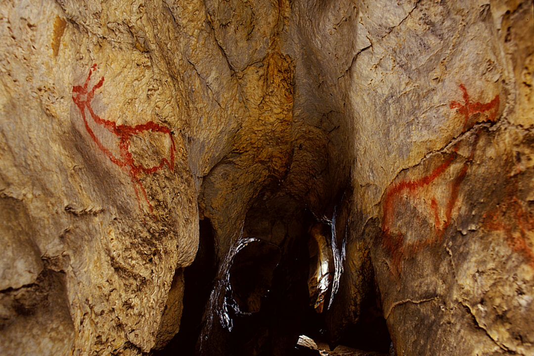 Cueva de Covalanas