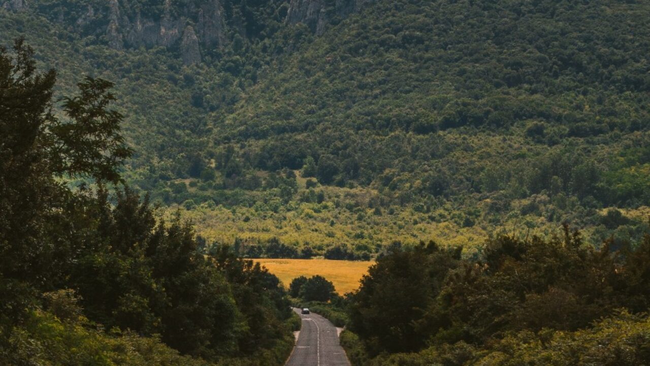 091E99B7-190A-D9AB-7EC1-FE3977FDABBF