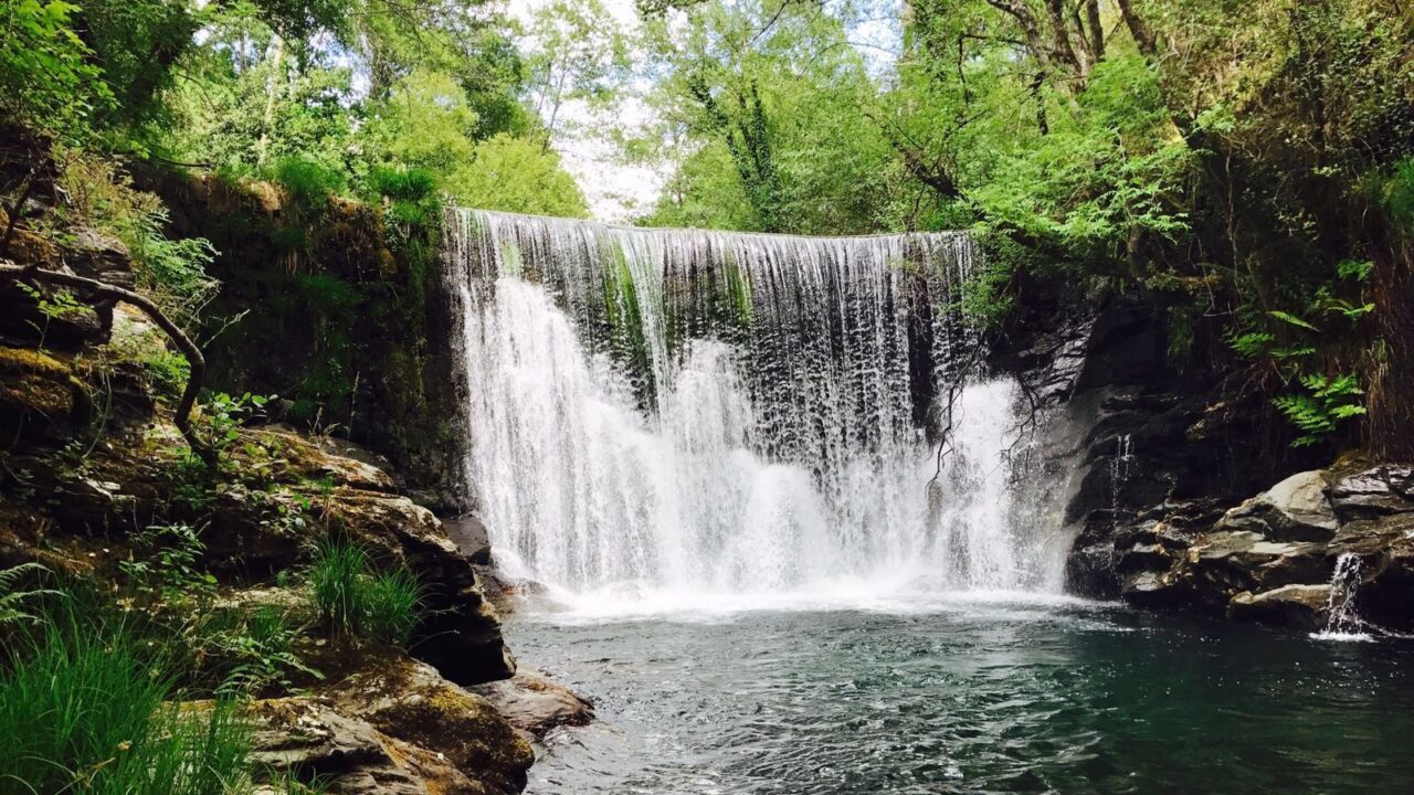 0D3BE08D-D9C3-CF1A-4274-369C516C5B18