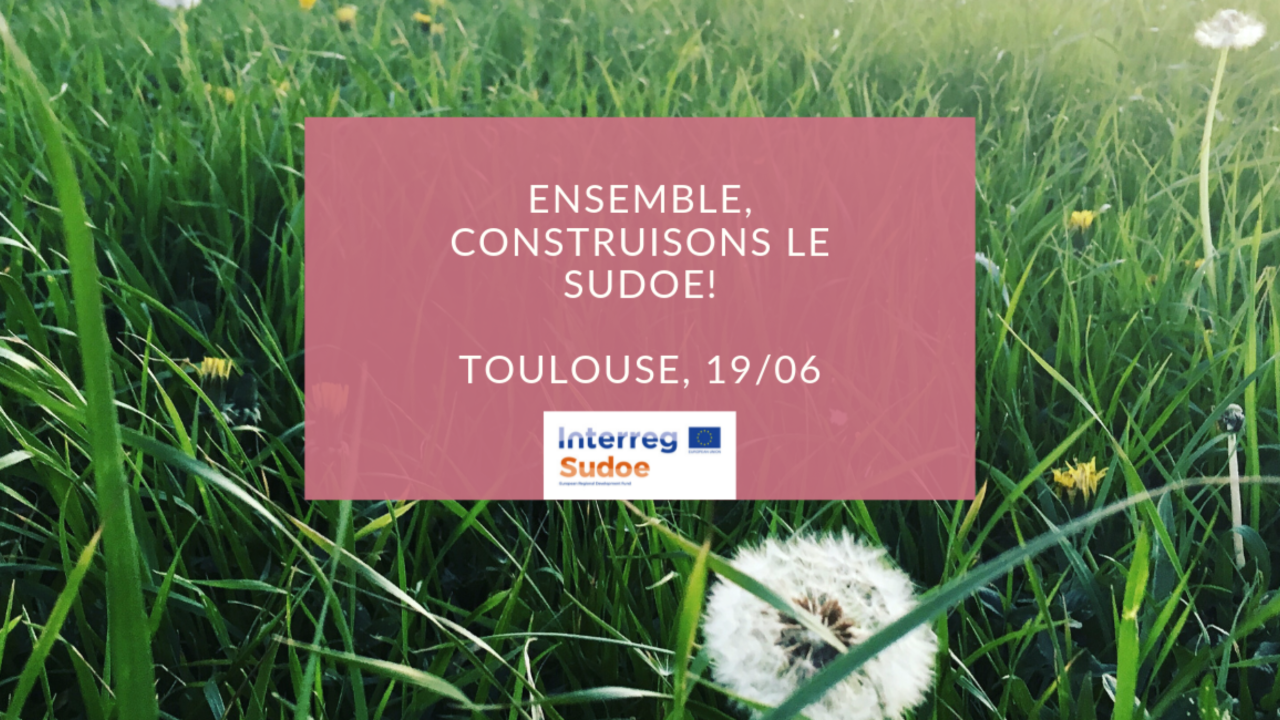 0E60387E-6BD5-0FAD-6981-4F61CFA9B2FE