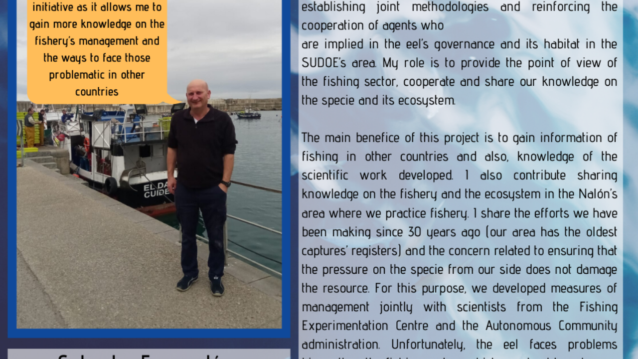 16721BE1-68AE-03F5-7B07-A9D34C1BCA4A