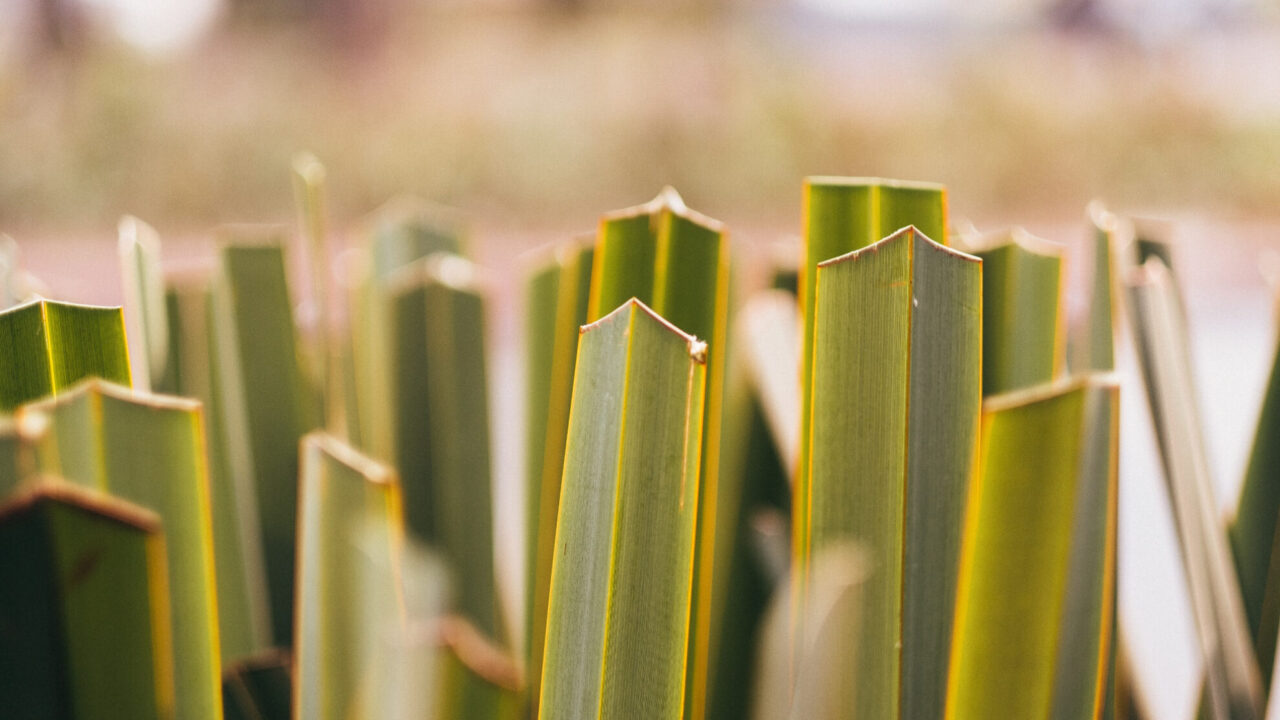 64807367-C77A-D149-1C5C-941955984EC5