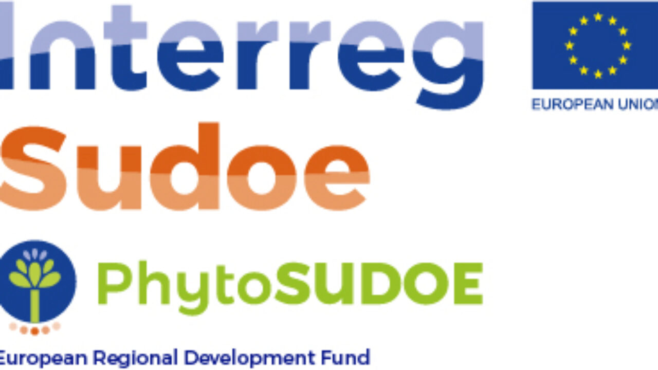 852FFD23-BDC1-53BE-8152-7431833DB05C