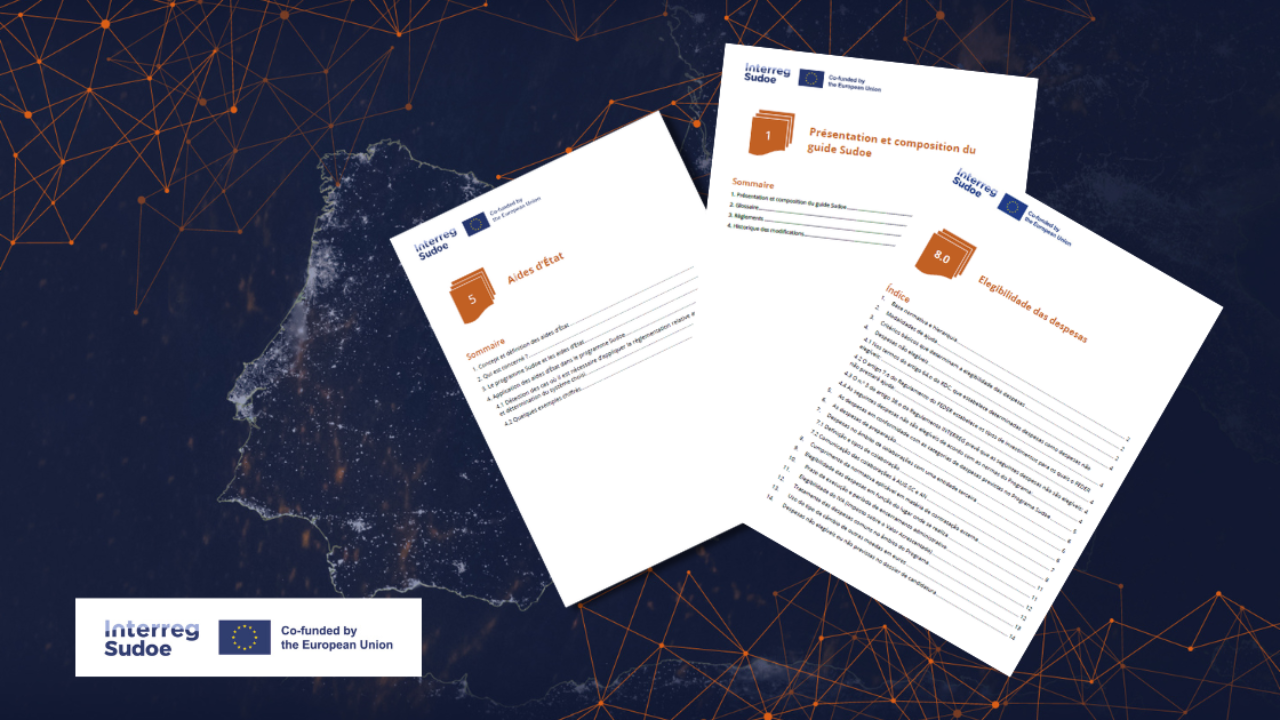 Actualización_Guía_Sudoe