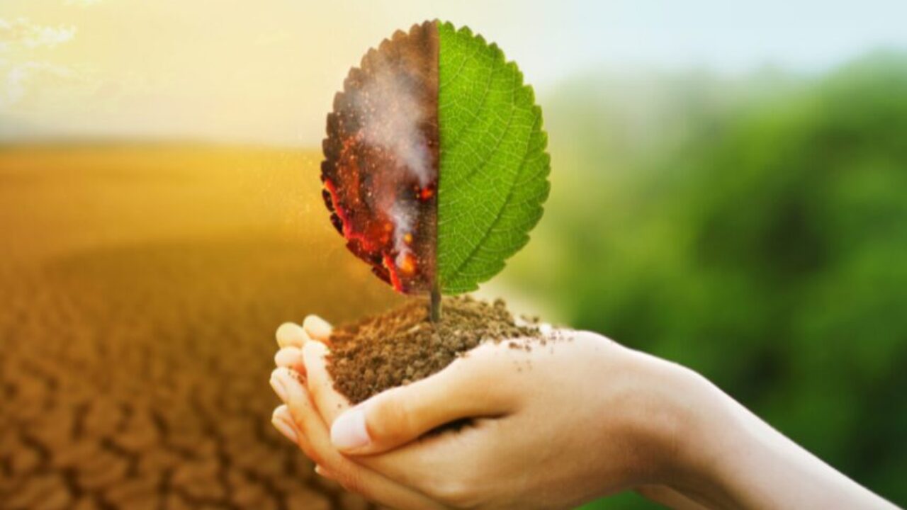 Agrosol