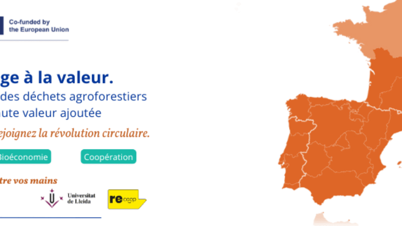 BIT (FR)
