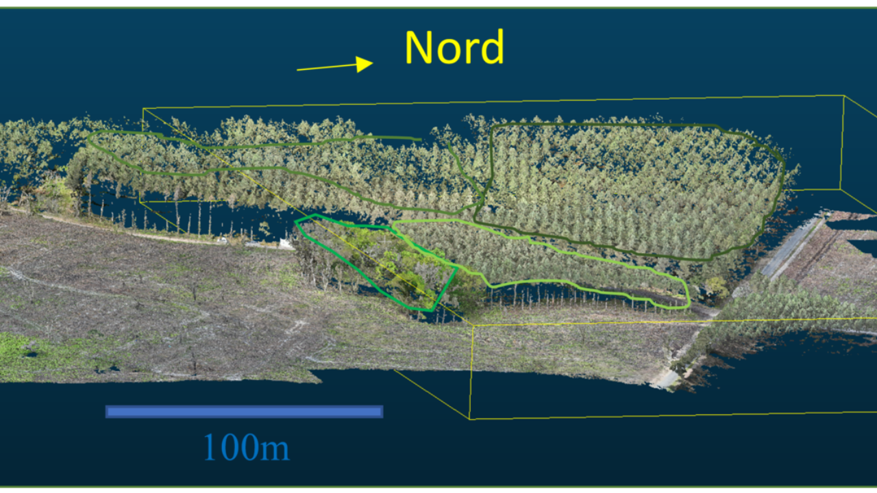 Barbaste_Landes