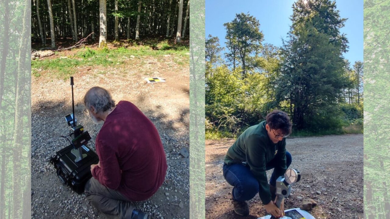 COOPTREE_07 2025_NAV3