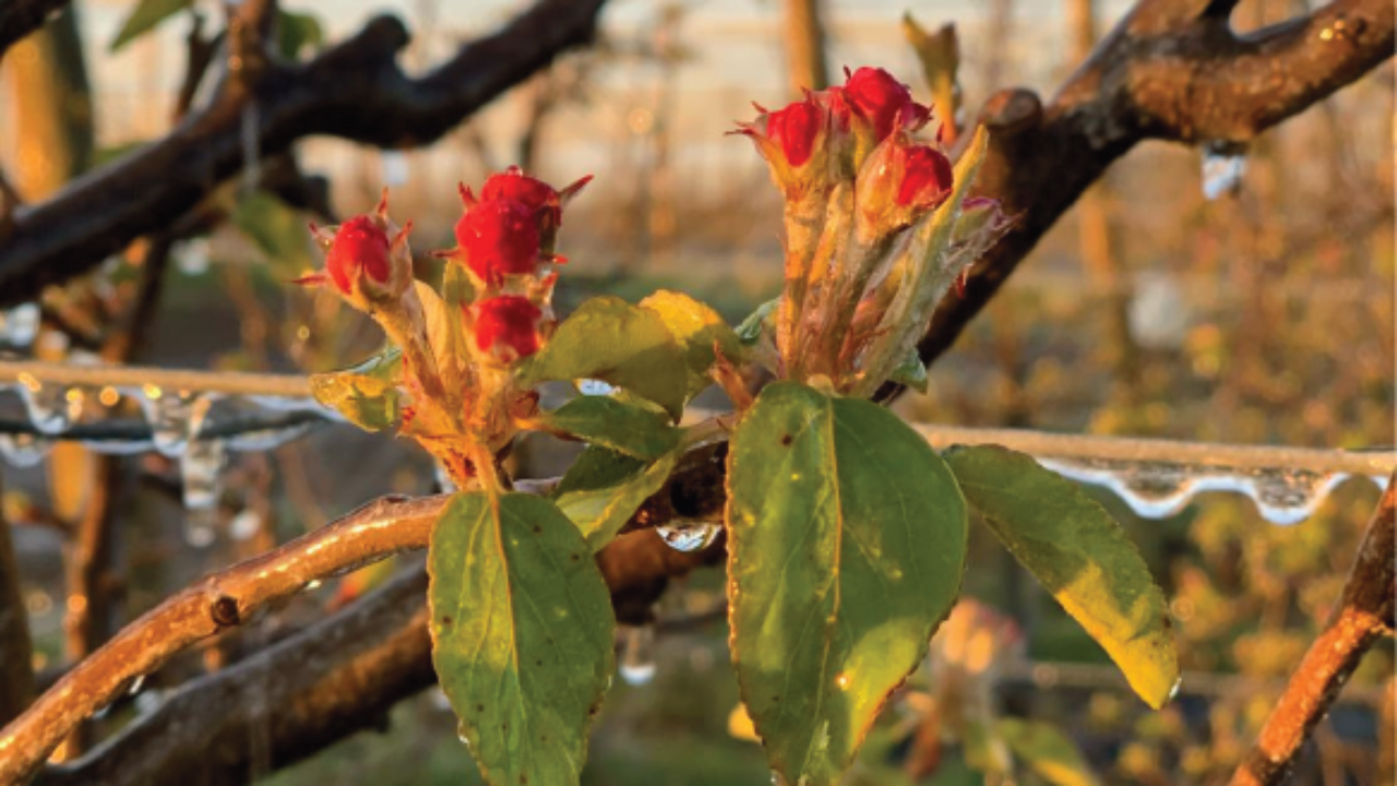 Captura de pantalla 2024-12-10 130653