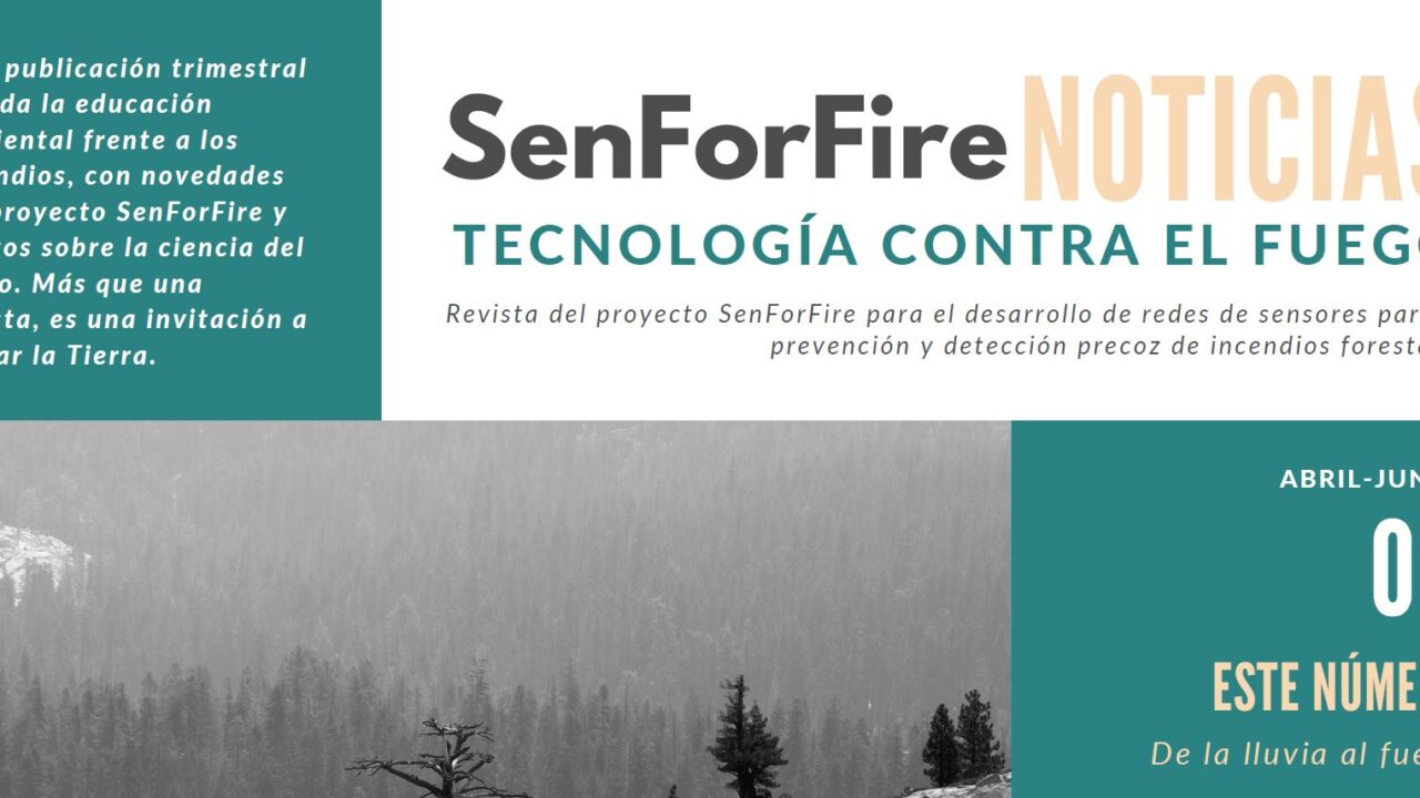 Captura revista imagen web