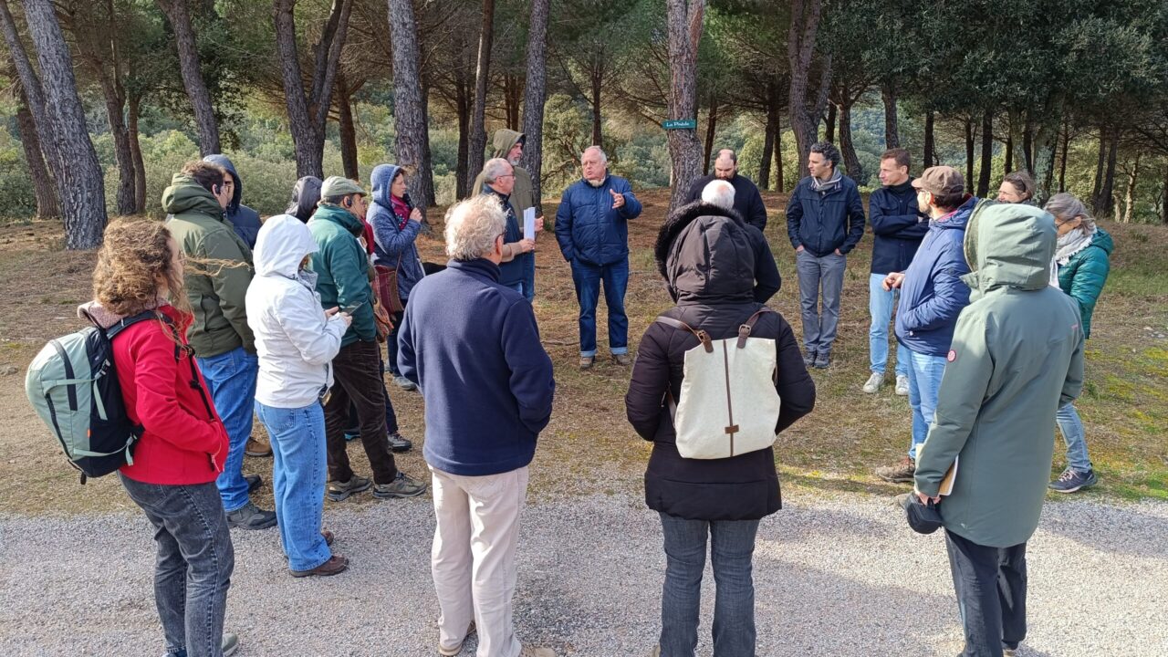 Ceret_1