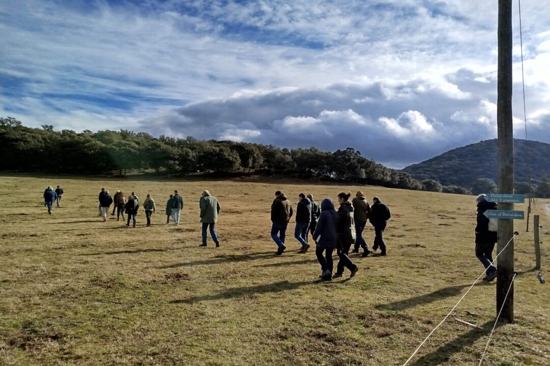 Ceret_2