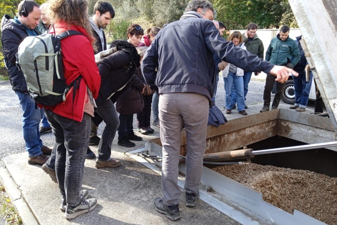 Ceret_4