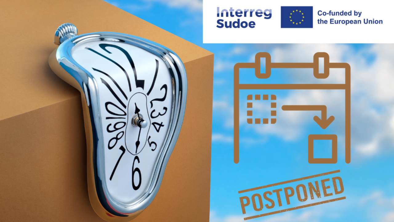 D01AC8F6-FC9A-FF75-6993-36D095C3196C