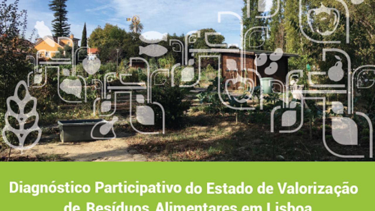 D43B877F-09CA-F96A-FDD9-62A29CF8E58F