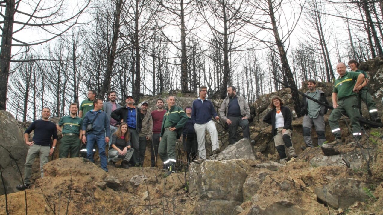 F1E6116C-0E26-26E3-6880-9E7C72CC1FC2