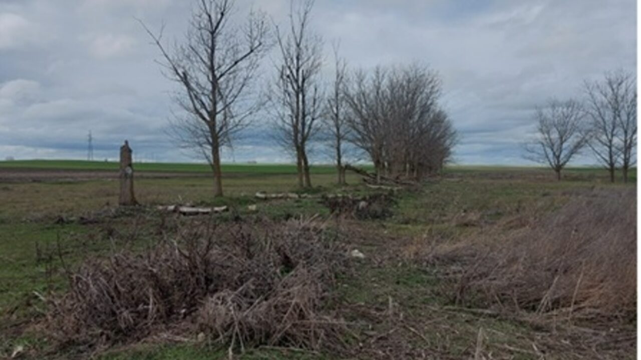 Fontiveros