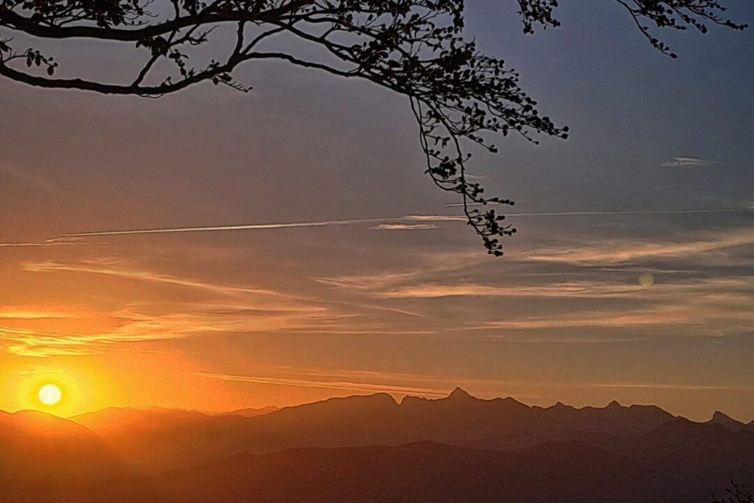 IMG_20231008_201122_467