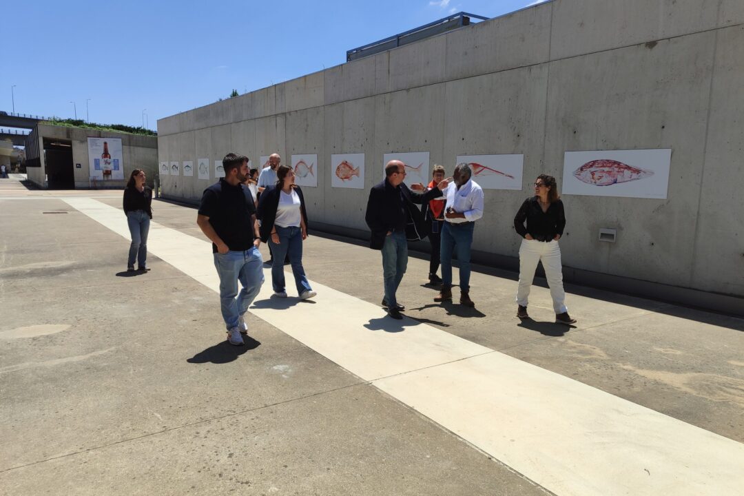 II Reunión de consorcio (Lisboa)