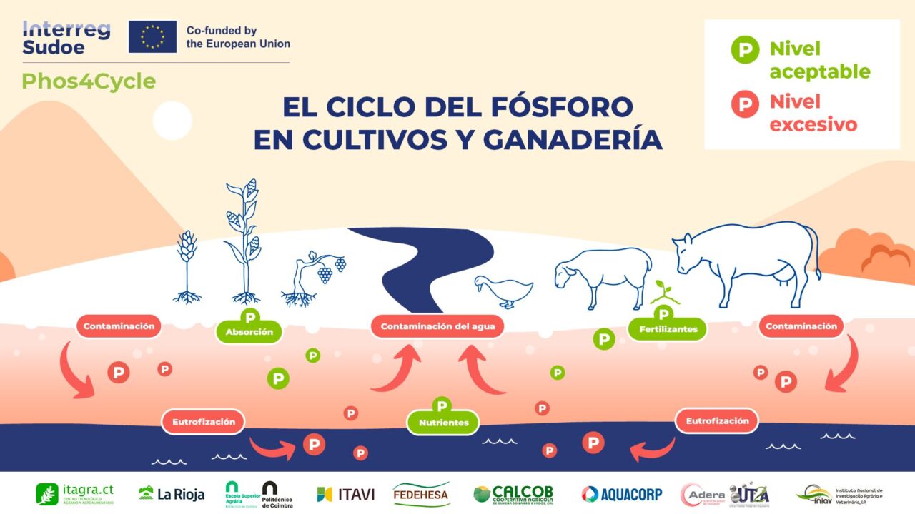 PlanFin_Espagnol