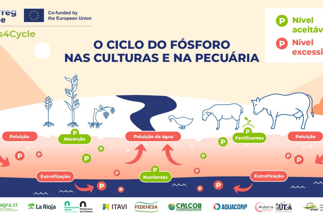 PlanFin_Portugais