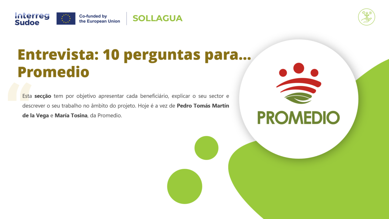 Promedio entrevista PT