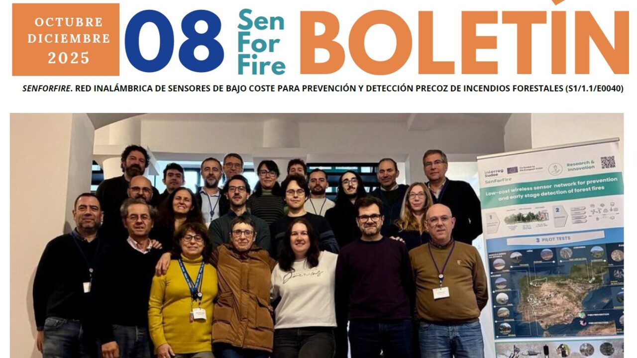 SFF BI 8 ES portada