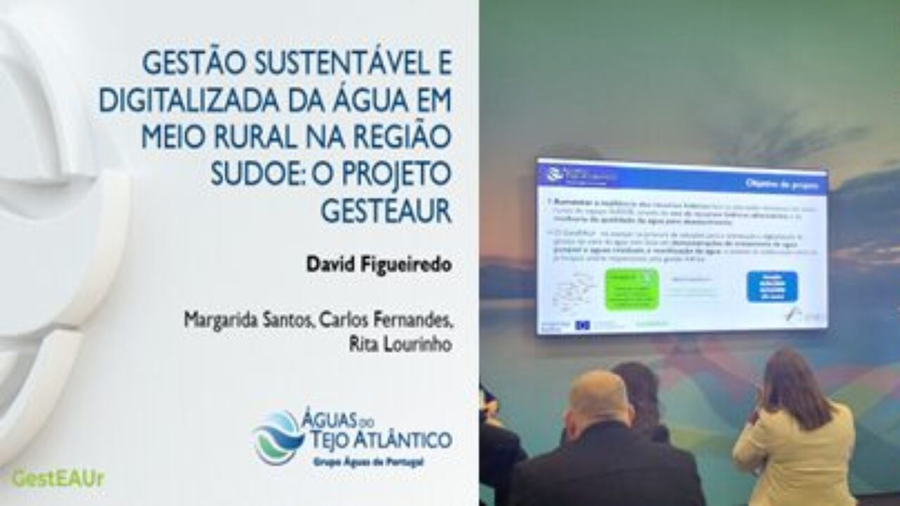 Sin título