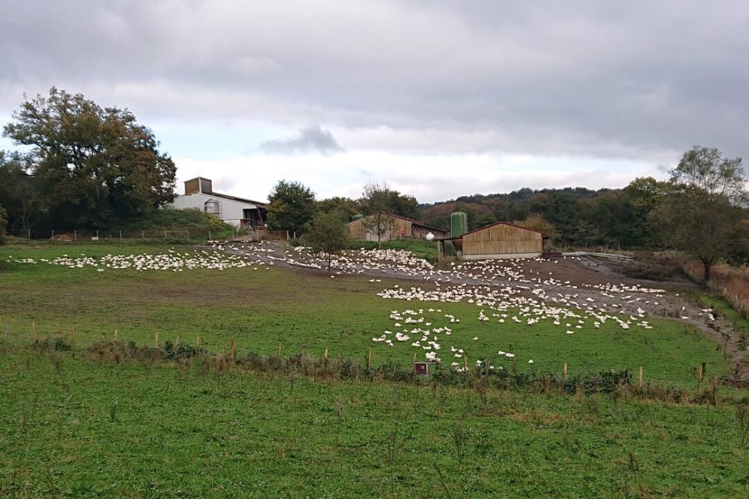 Site 1