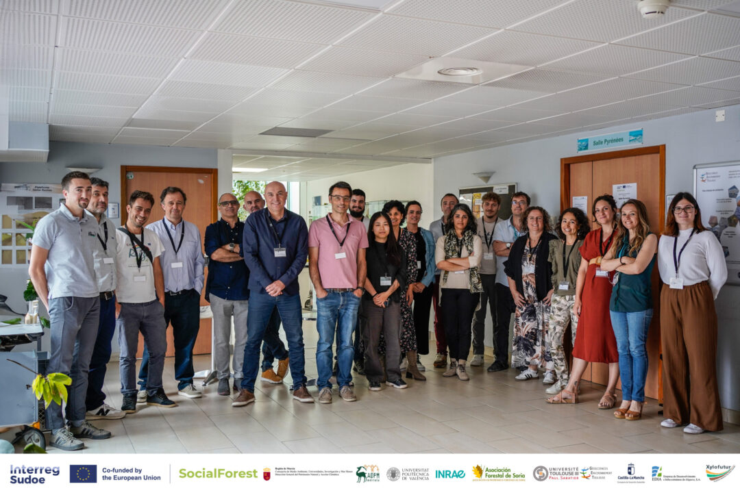 Social Forest Grupal-2