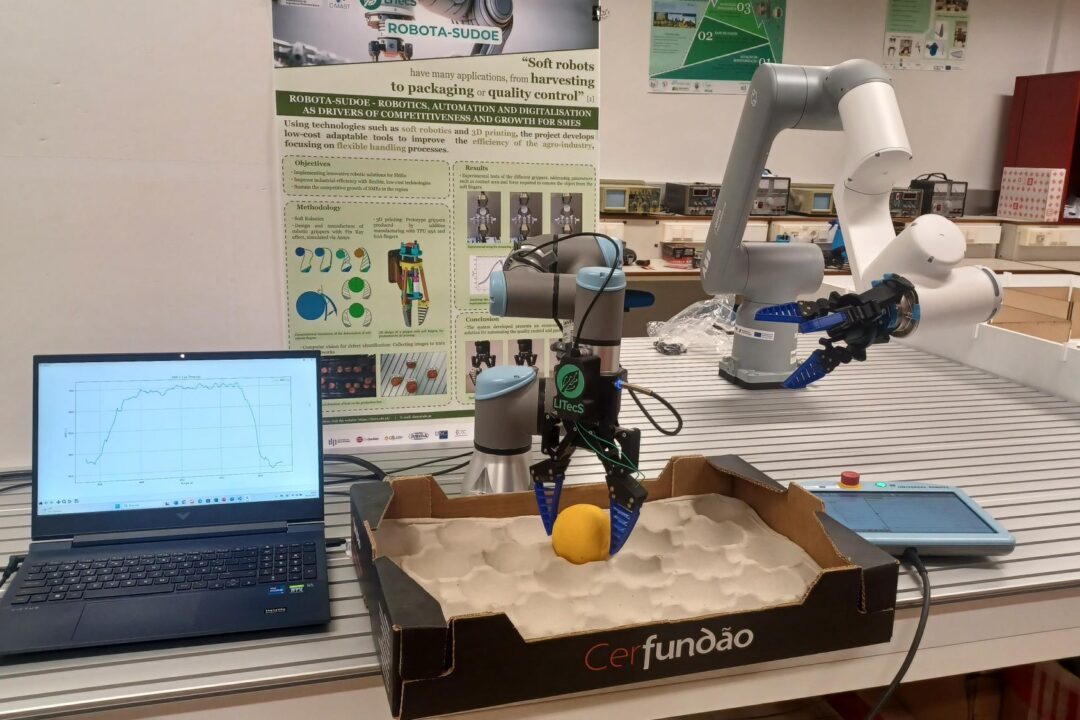 UR3_Fruit_manipulation_7