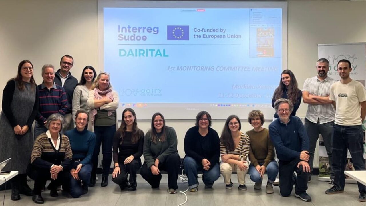 Consorcio DAIRITAL