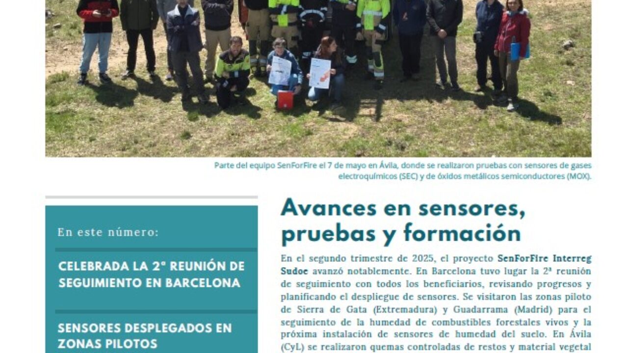 cubierta bi 06 senforfire